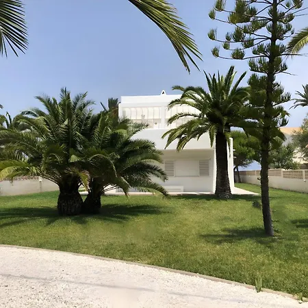 The Is Your Garden * Denia